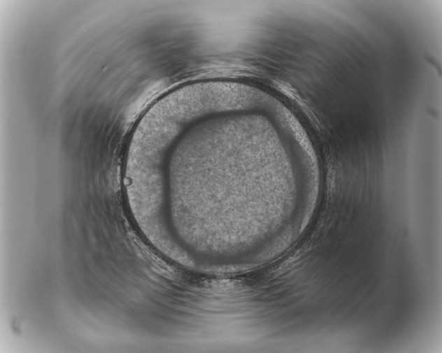 X0000102391459200808291413