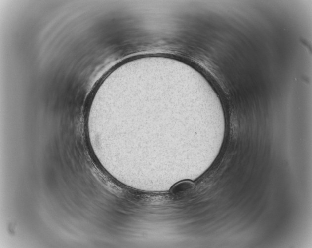 X0000102391460200808291413