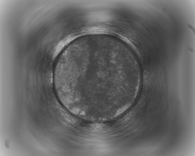 X0000102391461200808291413