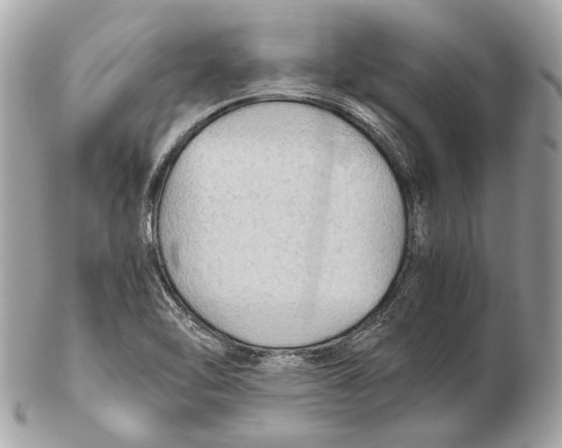 X0000102391462200808291413