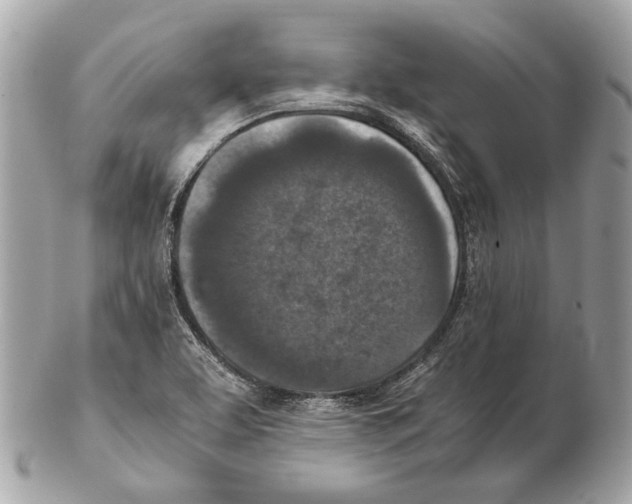 X0000102391463200808291413