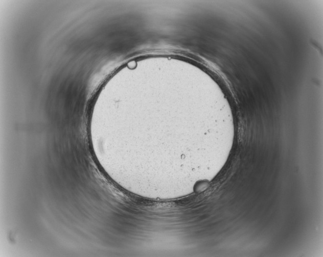 X0000102391464200808291413