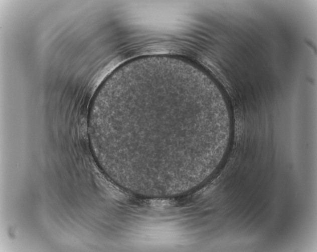 X0000102391465200808291413