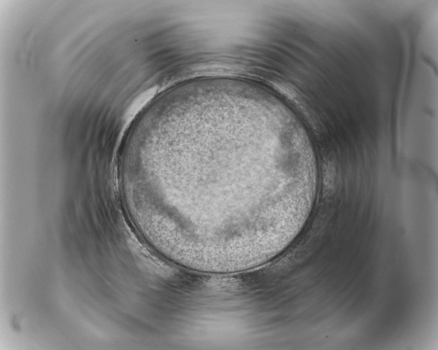X0000102391466200808291413