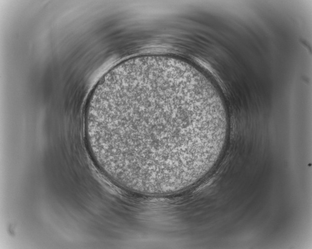 X0000102391467200808291413