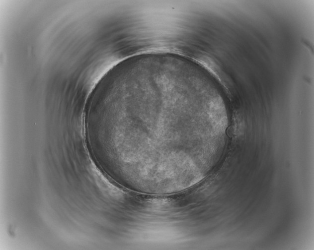 X0000102391468200808291413