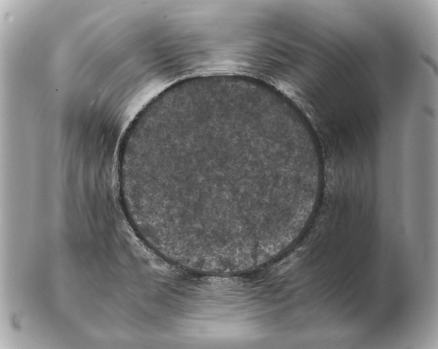 X0000102391469200808291413