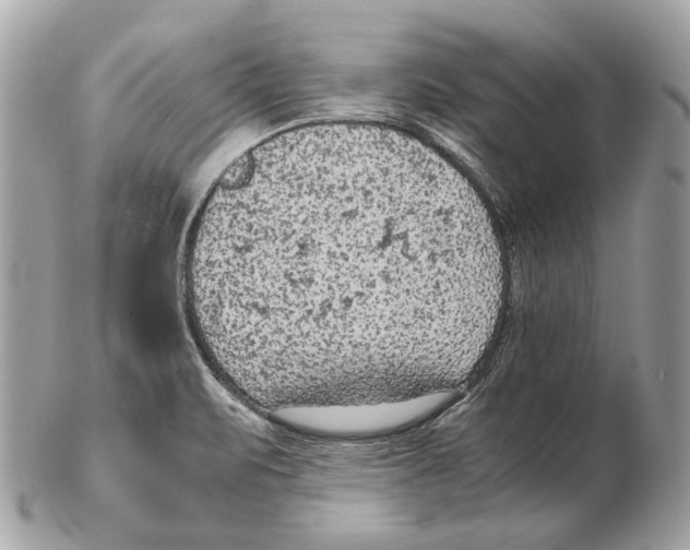 X0000102391471200808291413