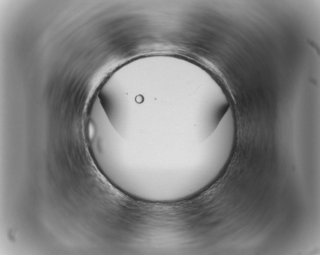 X0000102391472200808291413