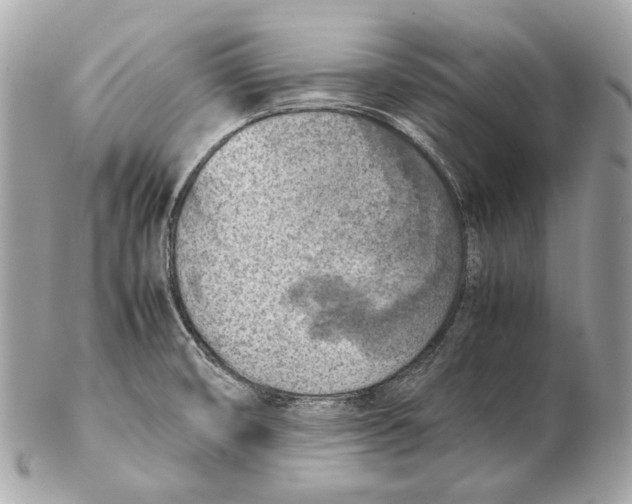 X0000102391474200808291413