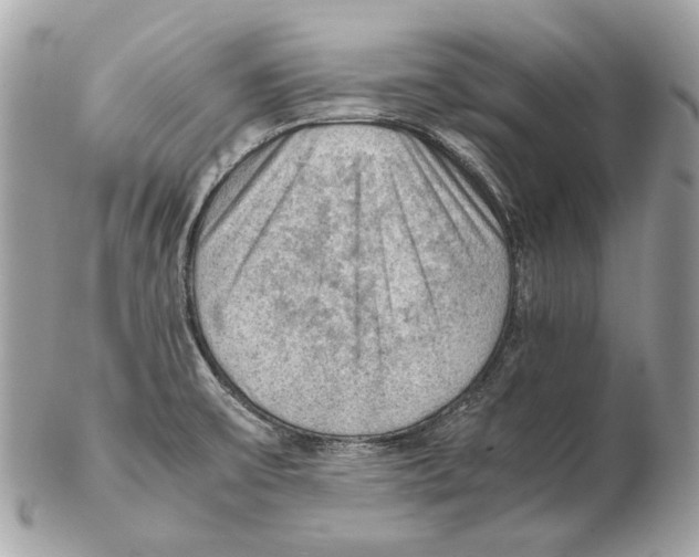 X0000102391475200808291412
