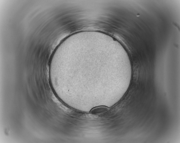 X0000102391476200808291412