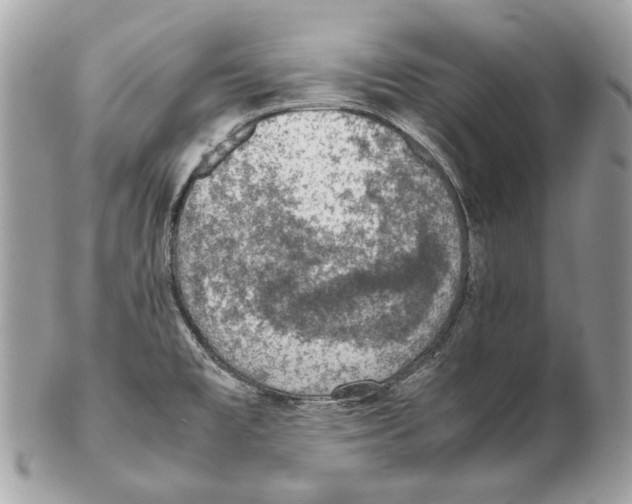 X0000102391477200808291412