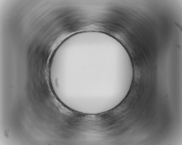 X0000102391478200808291412
