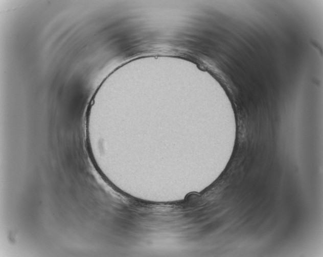 X0000102391479200808291412