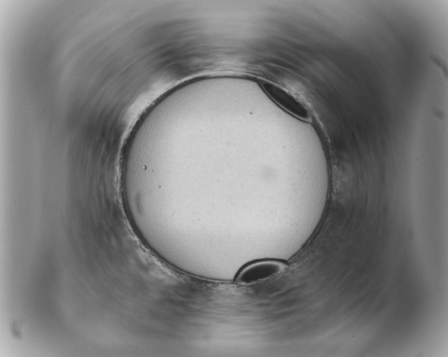 X0000102391480200808291412