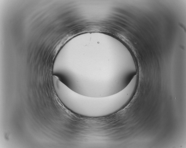 X0000102391481200808291412