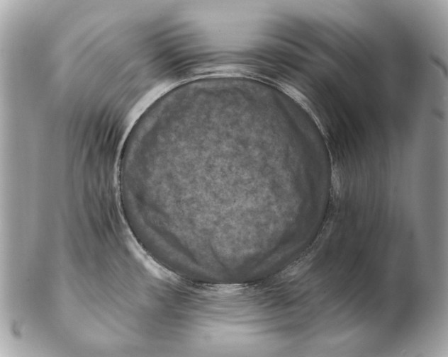 X0000102391482200808291412