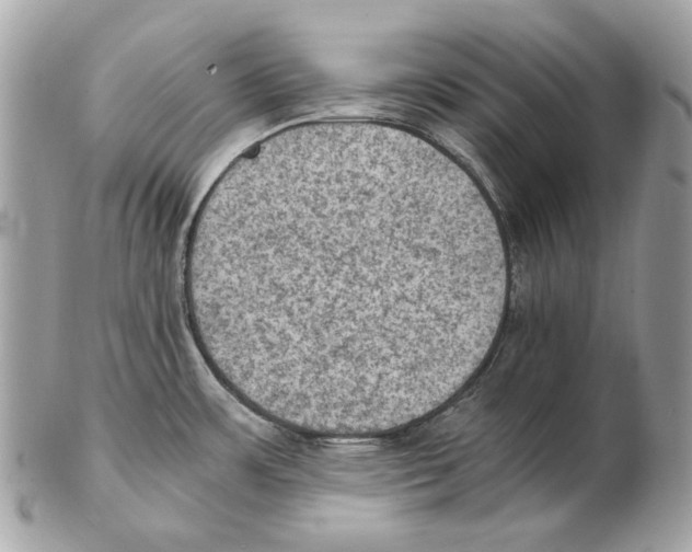 X0000102391483200808291412