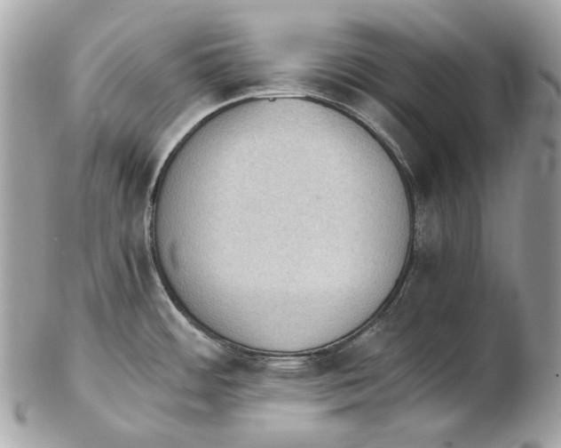 X0000102391484200808291412