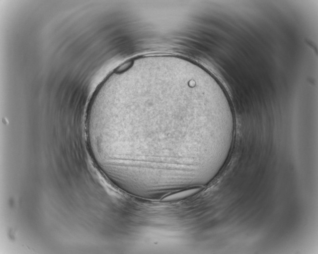X0000102391485200808291412