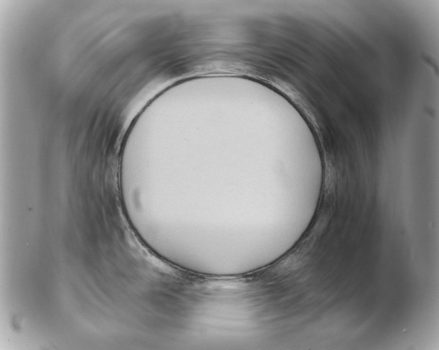 X0000102391486200808291412