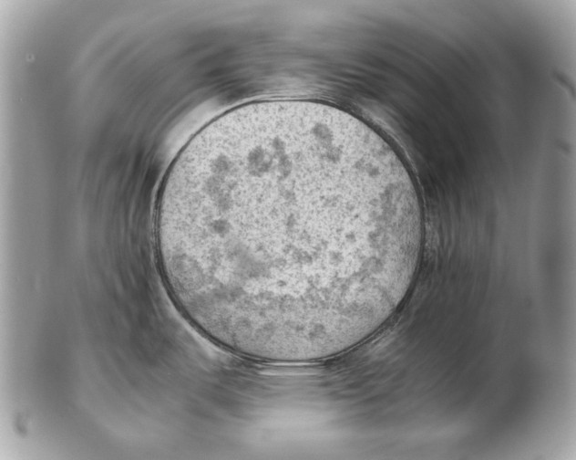 X0000102391487200808291412