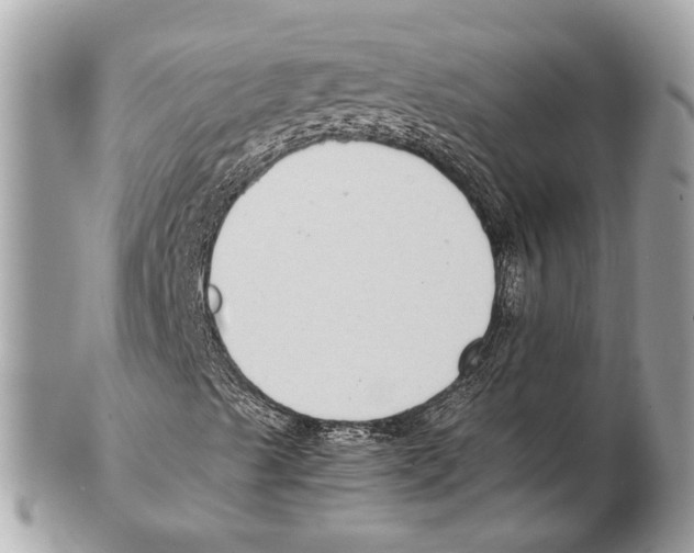 X0000102391489200808291412