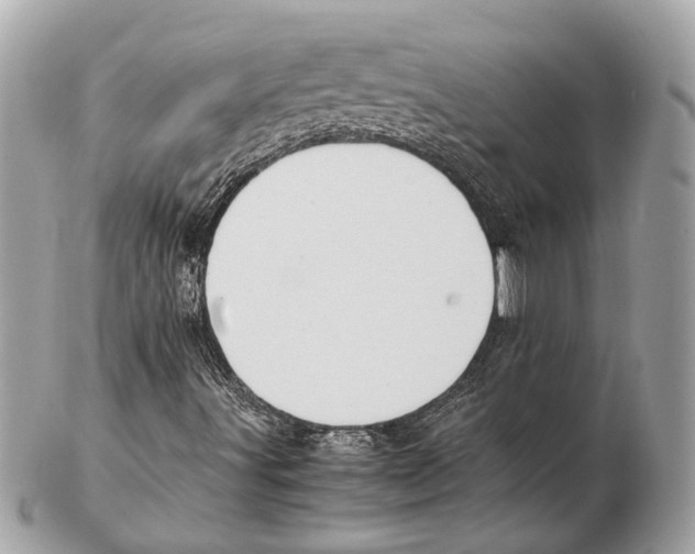 X0000102391491200808291412