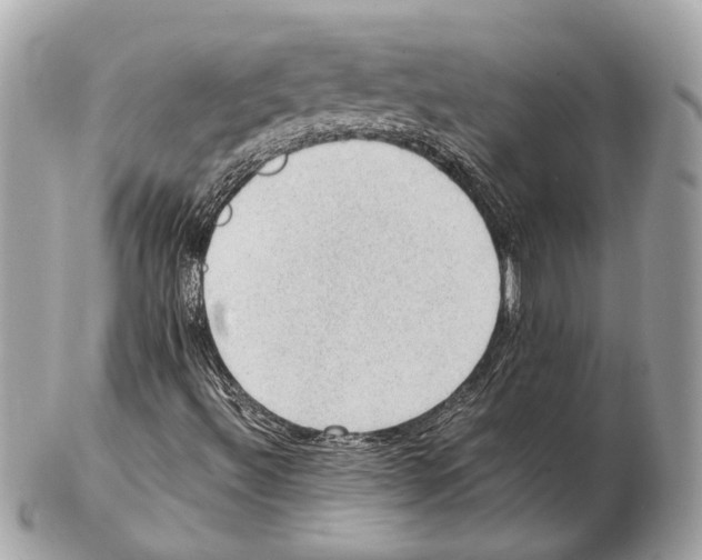 X0000102391492200808291412
