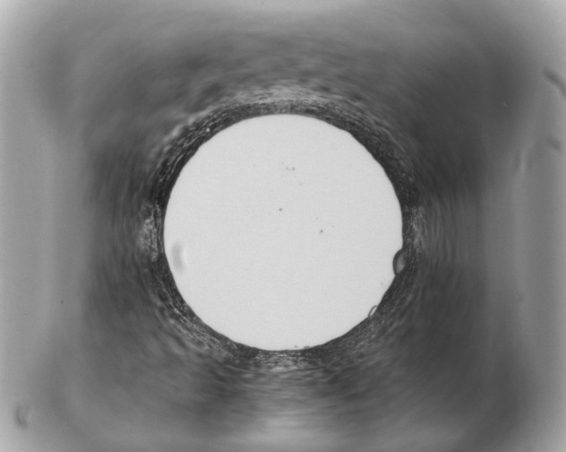 X0000102391493200808291412