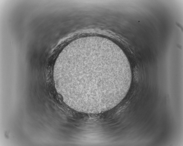X0000102391494200808291412
