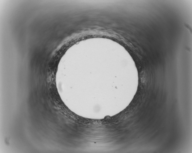 X0000102391495200808291412