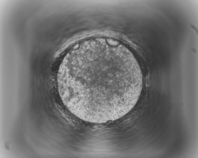 X0000102391496200808291412