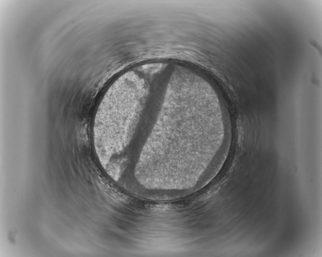 X0000102391497200808291412