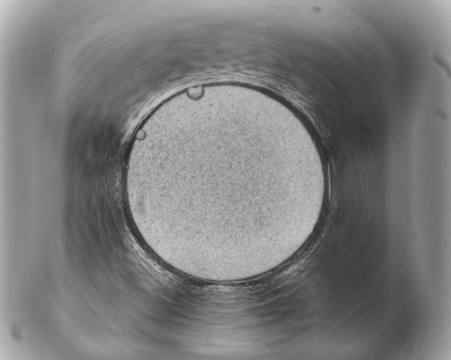 X0000102391500200808291412