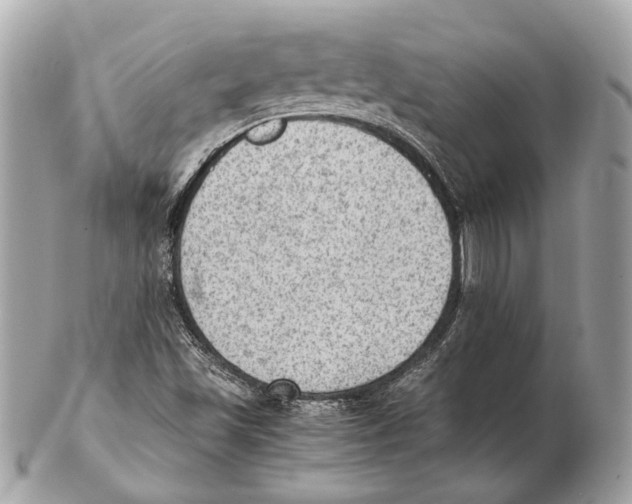 X0000102391501200808291412