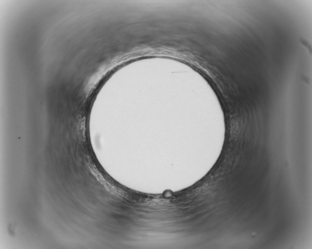 X0000102391503200808291412