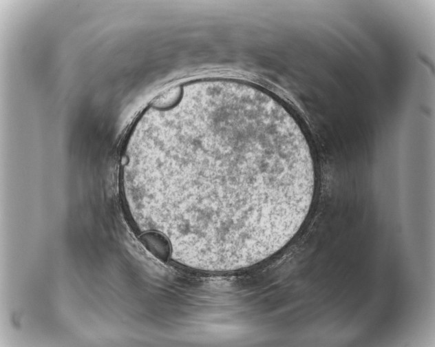 X0000102391504200808291412