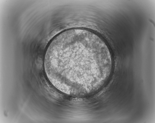 X0000102391505200808291412