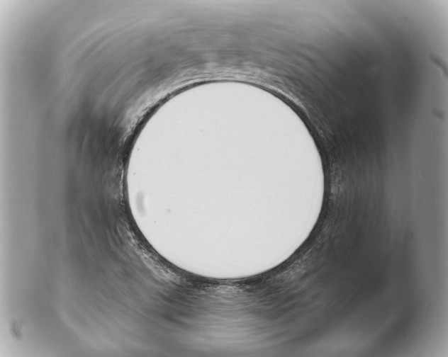 X0000102391507200808291412