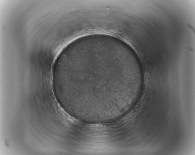 X0000102391508200808291412