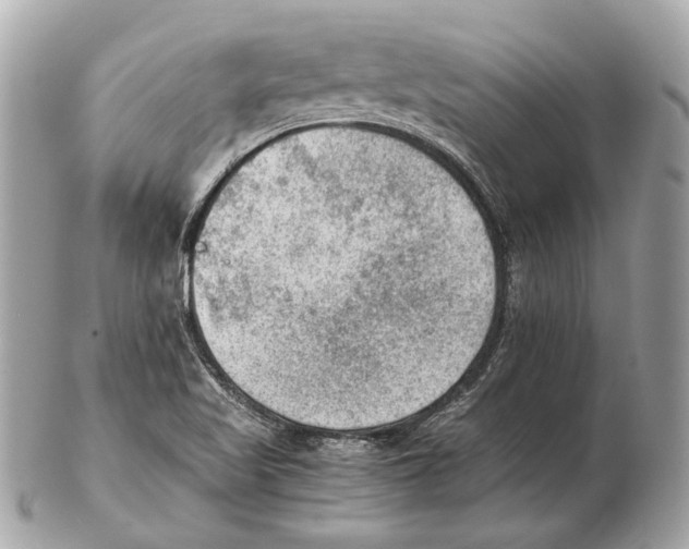 X0000102391509200808291412