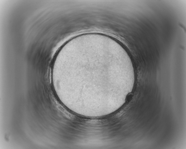 X0000102391510200808291412