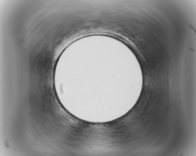 X0000102391512200808291412