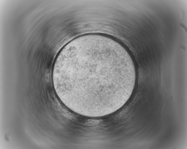 X0000102391513200808291412