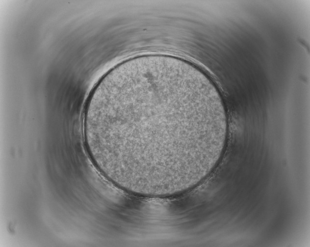 X0000102391514200808291412