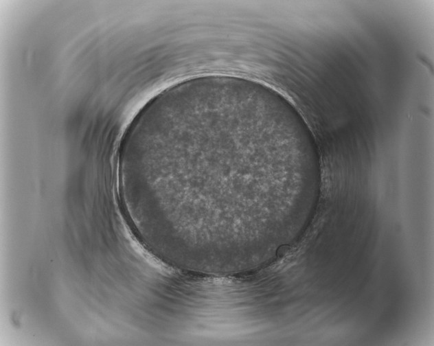 X0000102391515200808291412