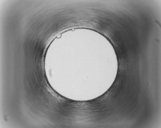 X0000102391516200808291412
