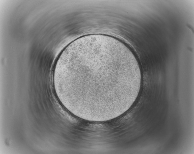 X0000102391517200808291412